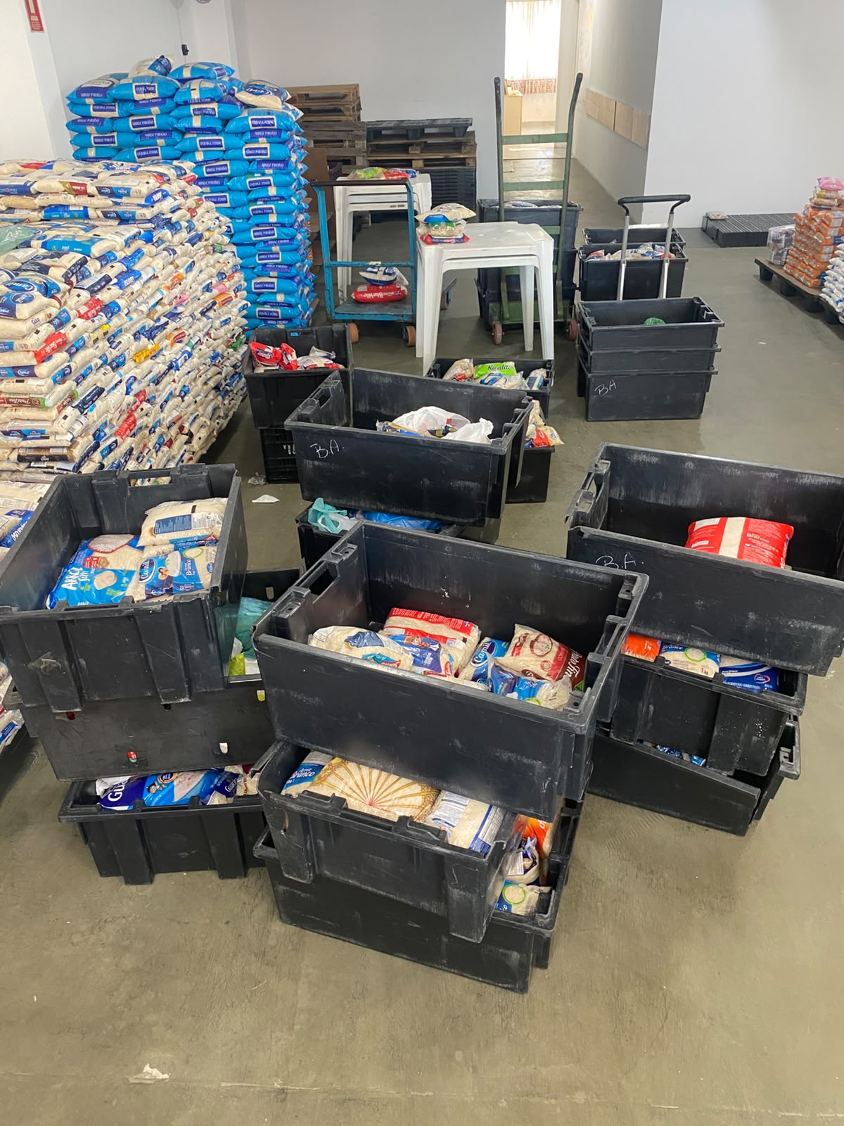 FUNDO SOCIAL DE SÃO CAETANO ARRECADA MAIS DE 3 TONELADAS DE ALIMENTOS DURANTE A 17ª EXPOSIÇÃO DE CARROS ANTIGOS