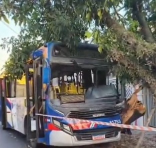 ÔNIBUS COLIDE CONTRA ÁRVORE E DEIXA FERIDOS NA AVENIDA GOIÁS, EM SÃO CAETANO
