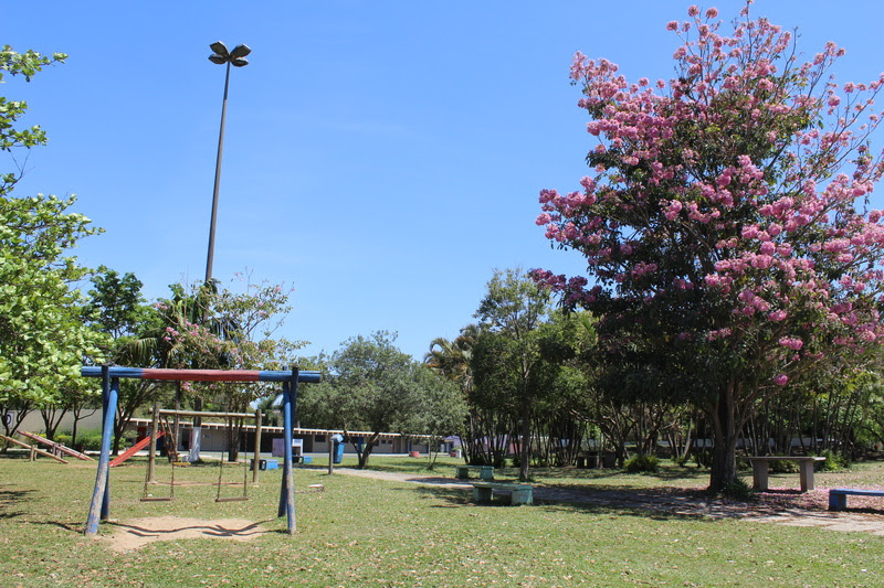 PARQUES ESTADUAIS DE SP VIRAM PALCO DE TRILHAS, OFICINAS E BRINCADEIRAS NAS FÉRIAS DE JULHO
