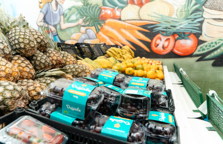 LANÇAMENTO DO PROGRAMA ‘MINHA FEIRA SBC’ EM SÃO BERNARDO ALIA SEGURANÇA ALIMENTAR E INCENTIVO À RECICLAGEM