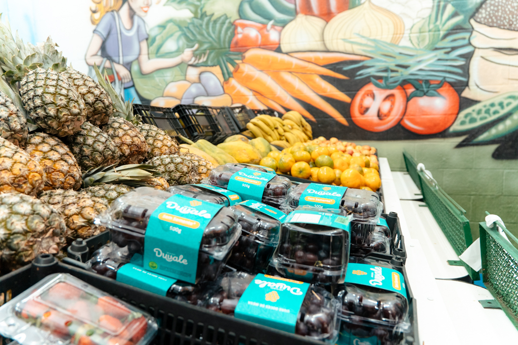 LANÇAMENTO DO PROGRAMA ‘MINHA FEIRA SBC’ EM SÃO BERNARDO ALIA SEGURANÇA ALIMENTAR E INCENTIVO À RECICLAGEM