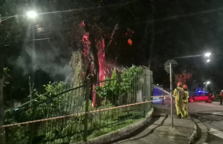 ÁRVORE PEGA FOGO NA PRAÇA SAMUEL WAINER EM SÃO BERNARDO