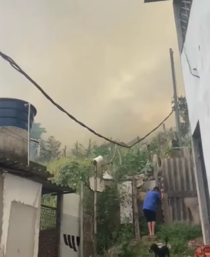QUEIMADA ATINGE ÁREA DE MATA NO MONTANHÃO, EM SÃO BERNARDO