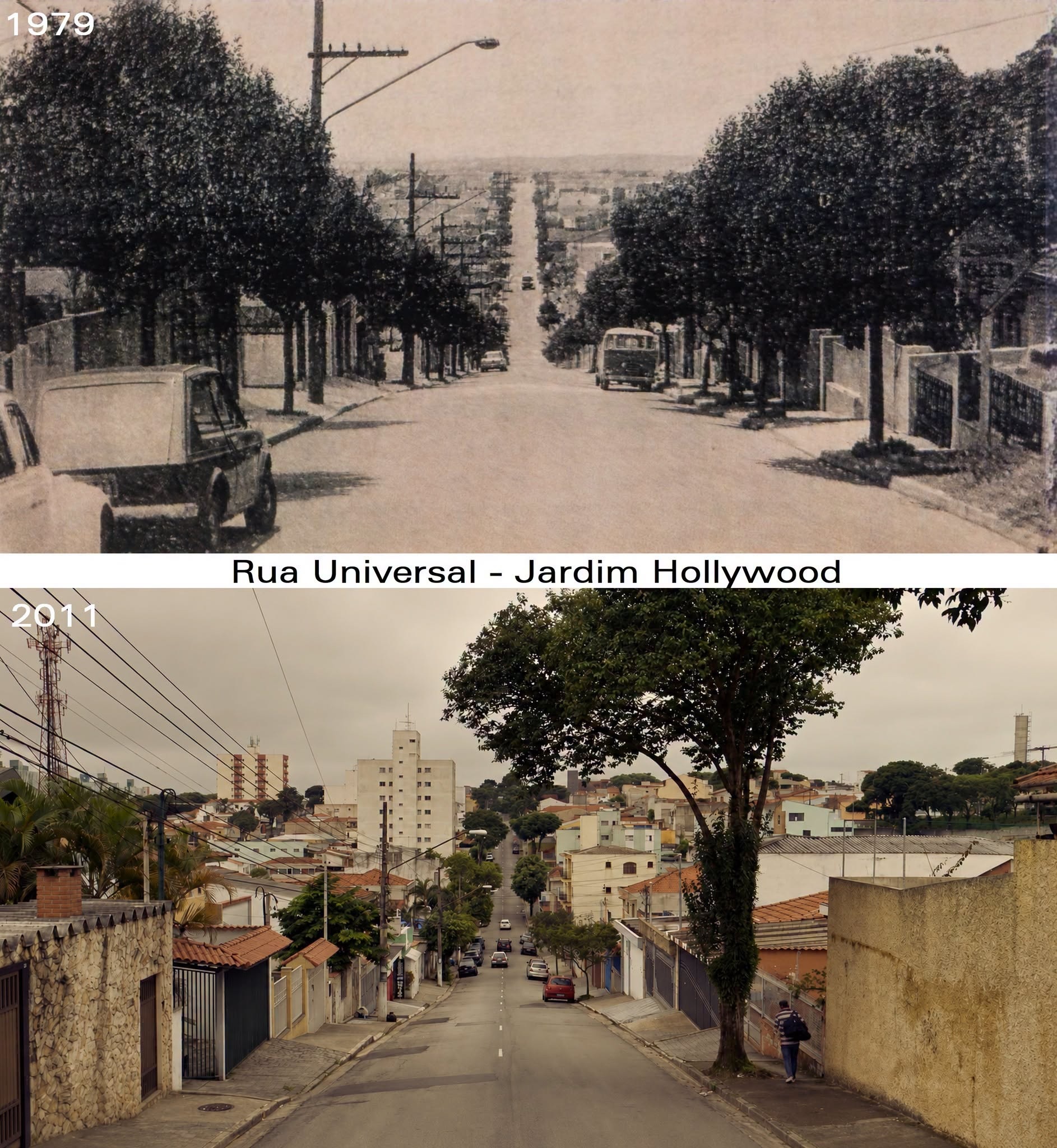 JARDIM HOLLYWOOD: CONHEÇA A HISTÓRIA DA FORMAÇÃO DO BAIRRO NO ANCHIETA