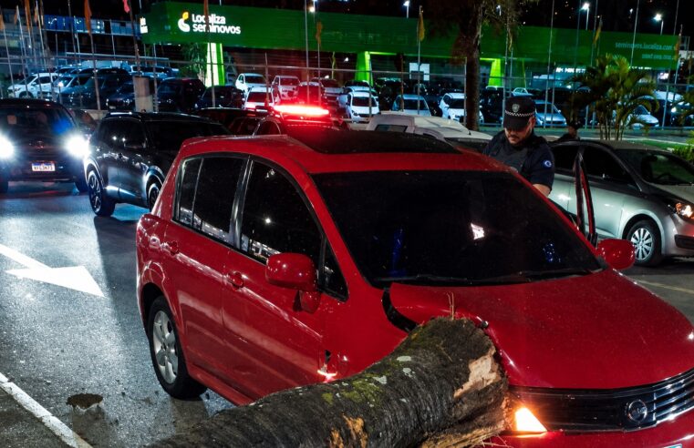GCM DE SÃO CAETANO PRENDE MOTORISTA POR EMBRIAGUEZ AO VOLANTE APÓS ACIDENTE NO CENTRO