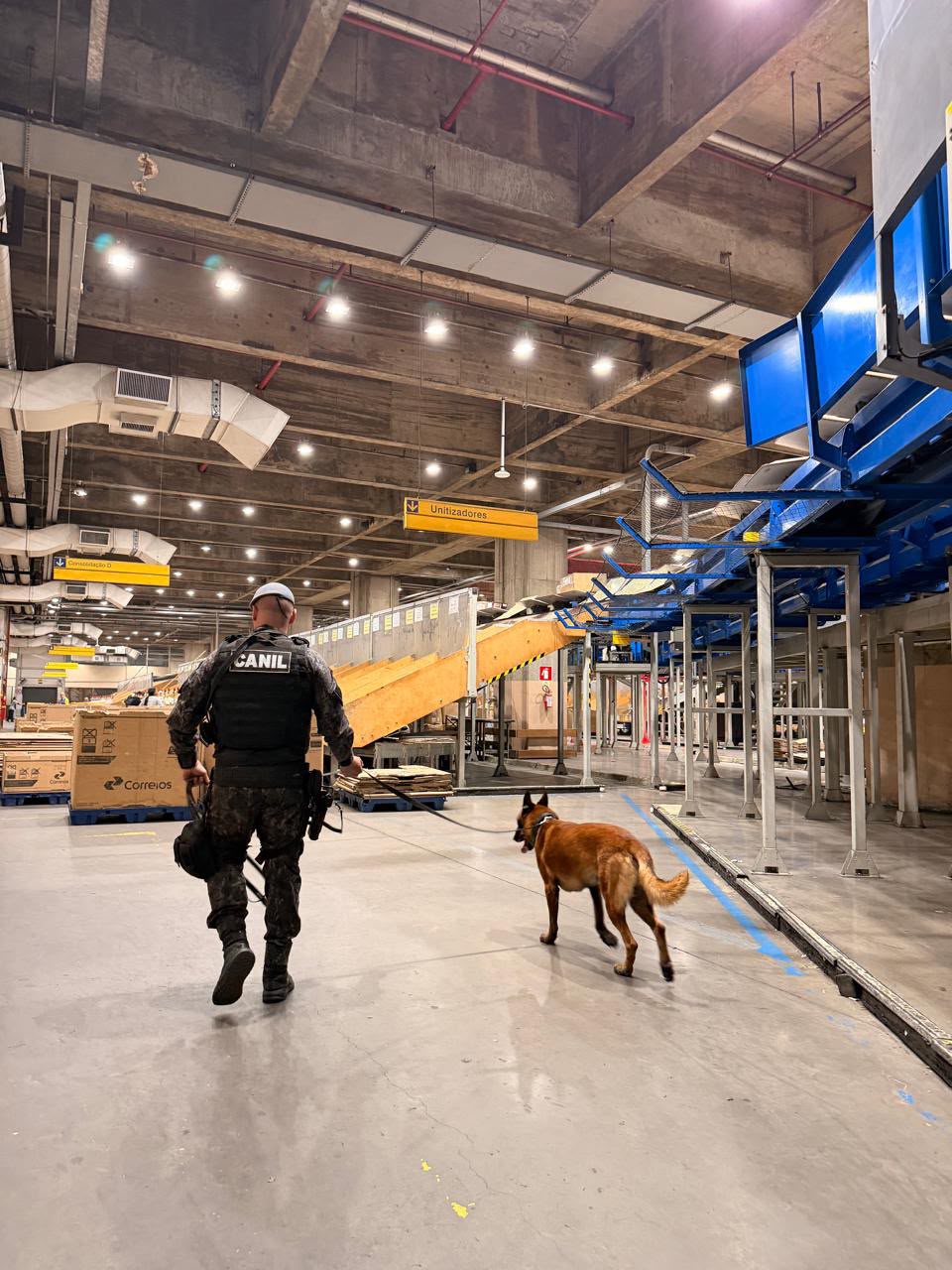 POLÍCIA DE SP APREENDE 174 KG DE DROGAS DURANTE OPERAÇÃO NOS CORREIOS NO ESTADO
