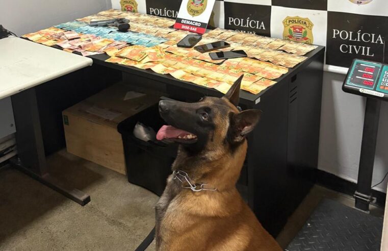 ATUAÇÃO DO CANIL DA GCM DE SÃO CAETANO EM OPERAÇÕES E AÇÕES PREVENTIVAS É DESTAQUE NO DIA MUNDIAL DO CÃO