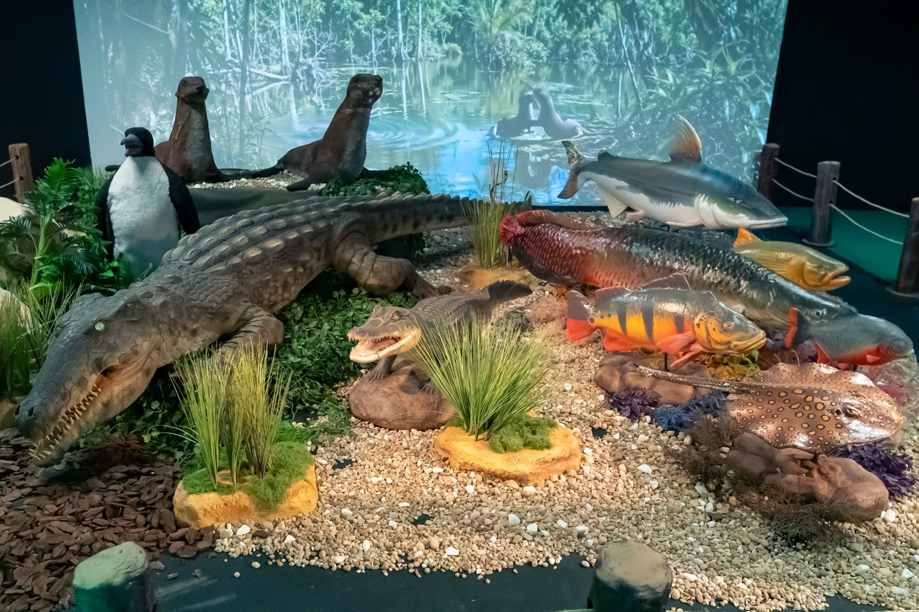 ÚLTIMOS DIAS: EXPOSIÇÃO “REINO VIVO” FICA NO SHOPPING METRÓPOLE ATÉ 30 DE AGOSTO