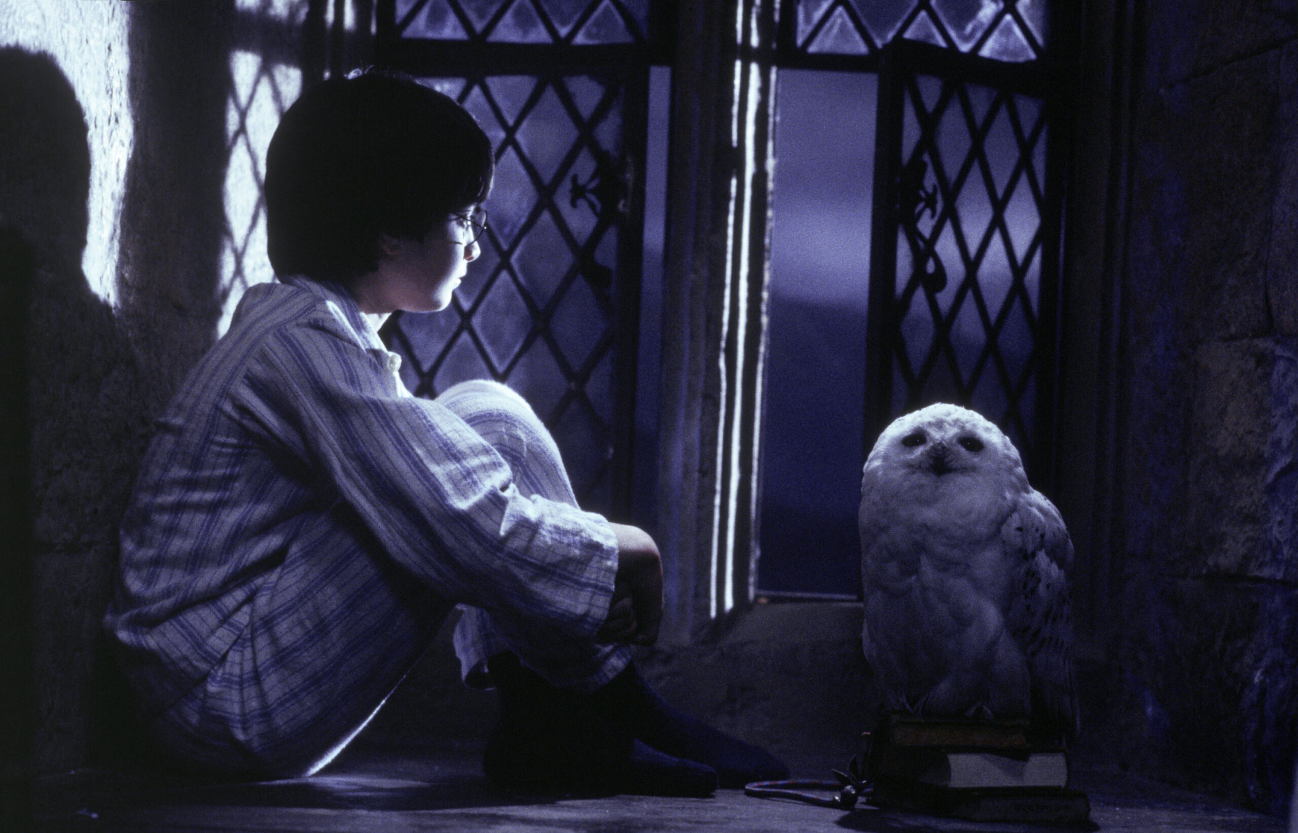 CELEBRAÇÃO DE 25 ANOS DE ‘HARRY POTTER E A PEDRA FILOSOFAL’ SEGUE EM CARTAZ EM CINEMAS DE TODO O BRASIL