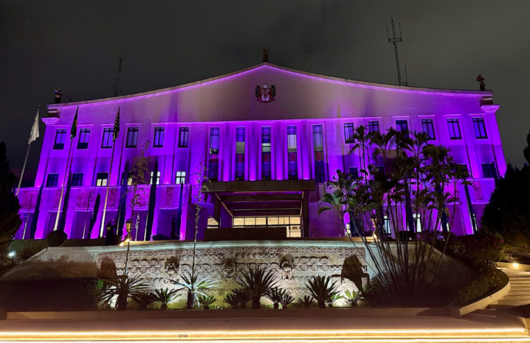 PALÁCIO DOS BANDEIRANTES SE ILUMINA DE LILÁS E MARCA INÍCIO DO MÊS DE COMBATE À VIOLÊNCIA CONTRA A MULHER