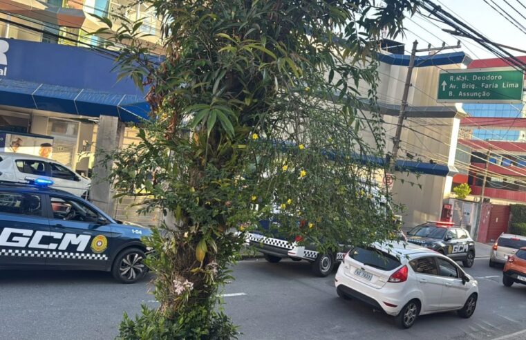 ACIDENTE DE TRÂNSITO TERMINA EM BRIGA E MOBILIZA GUARDA MUNICIPAL NO CENTRO DE SÃO BERNARDO