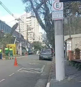 PODA DE ÁRVORE INTERDITA ACESSO AO HOSPITAL ANCHIETA EM SÃO BERNARDO