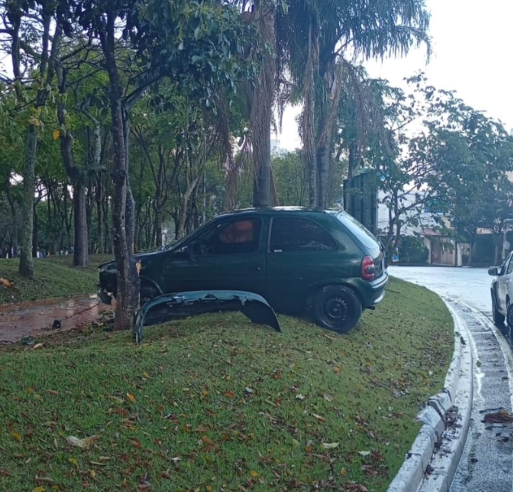 MOTORISTA PERDE CONTROLE E CARRO SOBE EM CANTEIRO NA ÁREA VERDE, EM SÃO BERNARDO