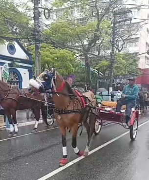 DEVOÇÃO QUE SUPERA O CLIMA: TRADICIONAL PROCISSÃO DOS CARROCEIROS REÚNE FIÉIS SOB CHUVA EM SÃO BERNARDO