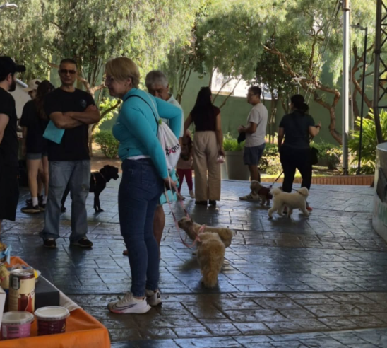 ANOTE NA AGENDA: PARQUE SALVADOR ARENA TERÁ FEIRA PET, CÃOMINHADA, DESFILE E ADOÇÃO DIA 20
