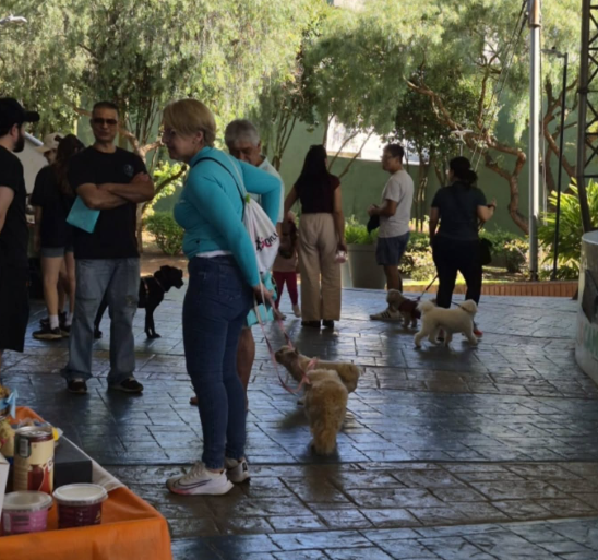 ANOTE NA AGENDA: PARQUE SALVADOR ARENA TERÁ FEIRA PET, CÃOMINHADA, DESFILE E ADOÇÃO DIA 20