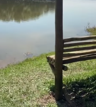 APÓS MUITA CHUVA NOS ÚLTIMOS DIAS, VÍDEO MOSTRA REPRESA BILLINGS CHEIA EM SÃO BERNARDO