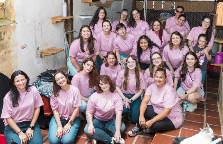 RECANTO GATRAVESSOS INAUGURA GATIL E PROMOVE EVENTO PARA CELEBRAR UMA NOVA FASE NO CUIDADO COM GATOS RESGATADOS