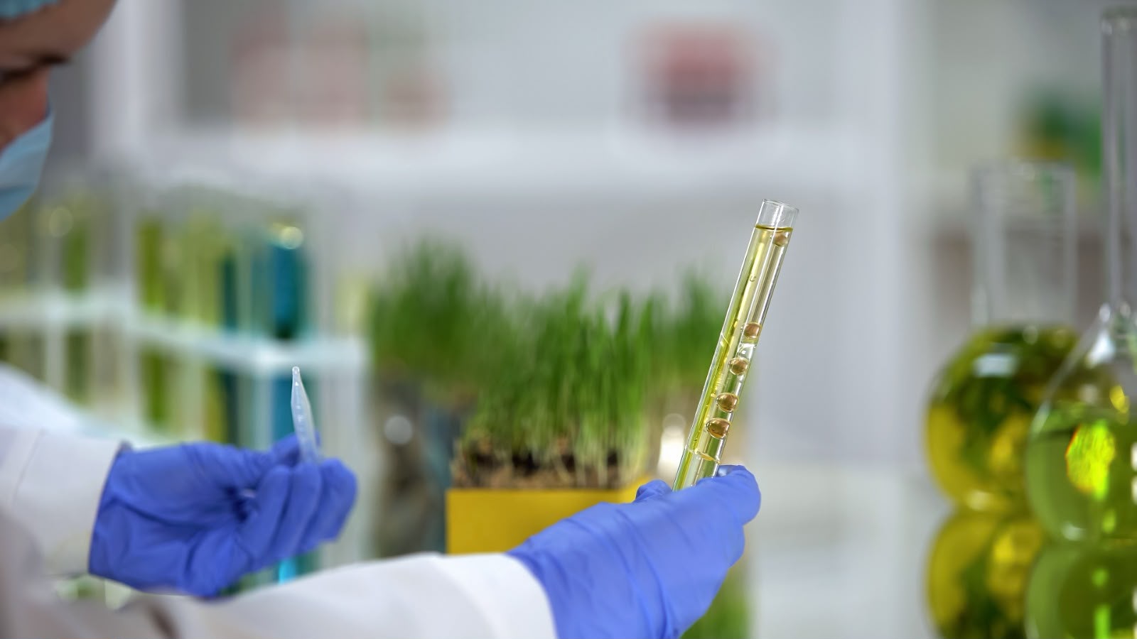 BRASKEM REFORÇA ESTRATÉGIA GLOBAL EM RENOVÁVEIS COM DESENVOLVIMENTO DE TECNOLOGIA PARA BIOACETONA