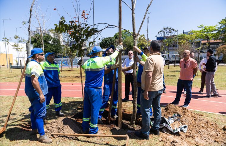 EM CELEBRAÇÃO AO DIA DA ÁRVORE, SÃO CAETANO REALIZA PLANTIO DE 20 EXEMPLARES ADULTOS NO PARQUE LINEAR KENNEDY