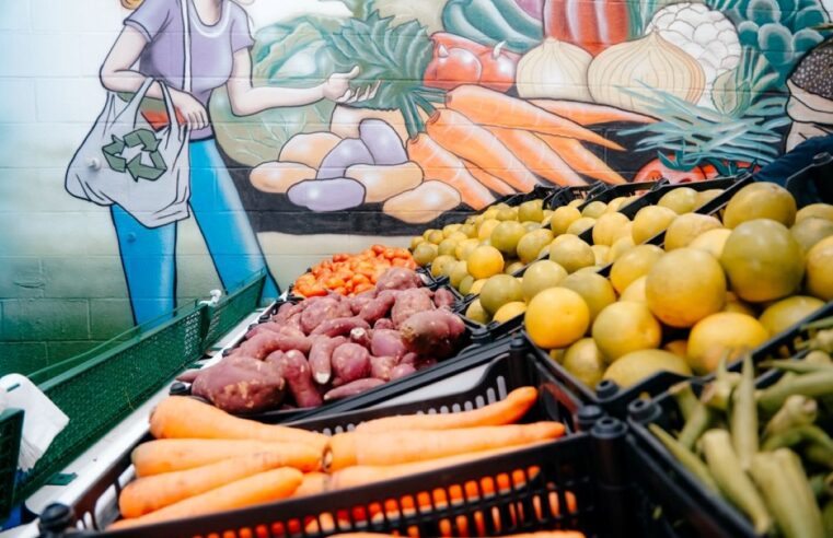 MINHA FEIRA SBC: SÃO BERNARDO JÁ TROCOU MAIS DE DUAS TONELADAS DE PLÁSTICOS POR ALIMENTOS EM MENOS DE UM MÊS