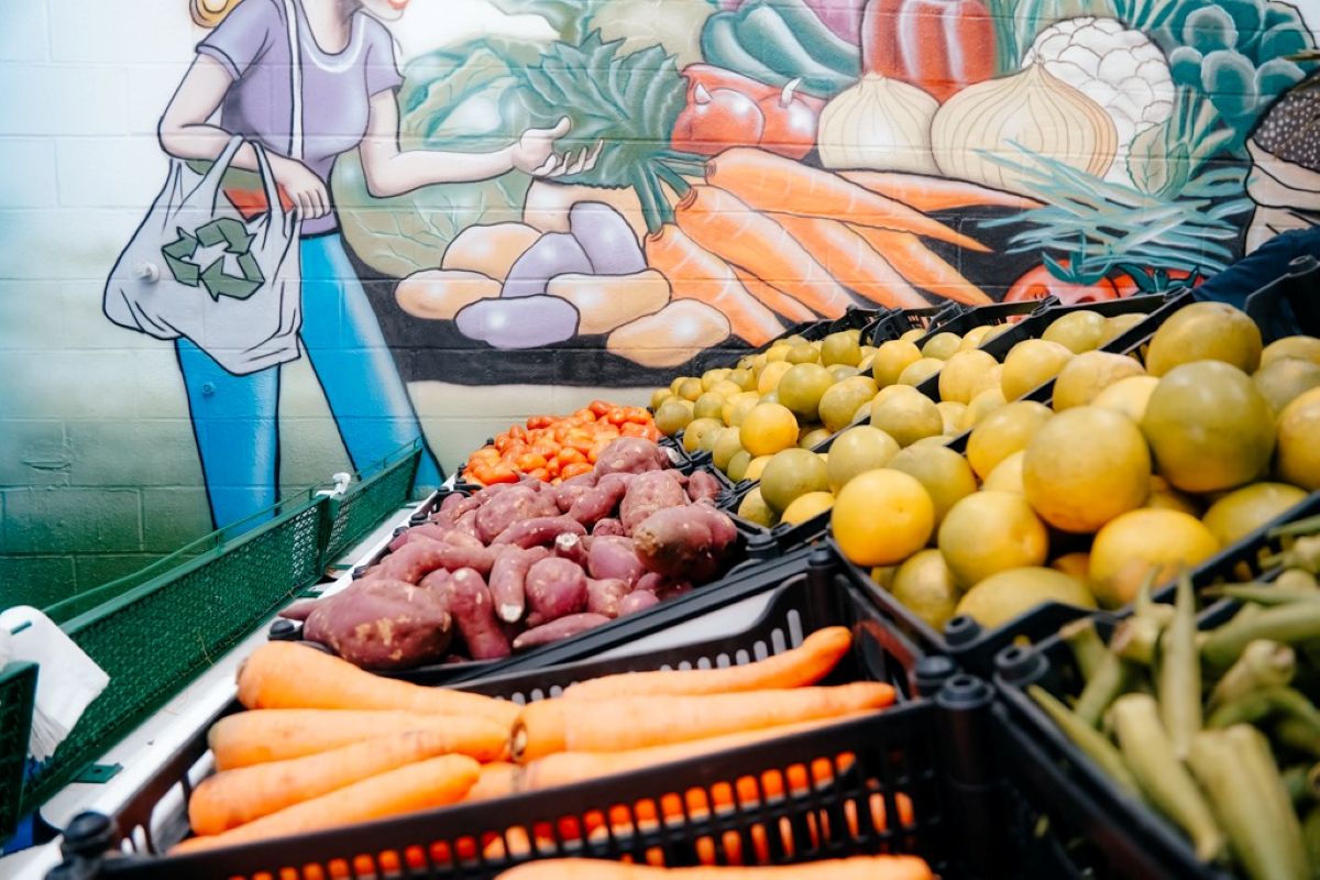 MINHA FEIRA SBC: SÃO BERNARDO JÁ TROCOU MAIS DE DUAS TONELADAS DE PLÁSTICOS POR ALIMENTOS EM MENOS DE UM MÊS