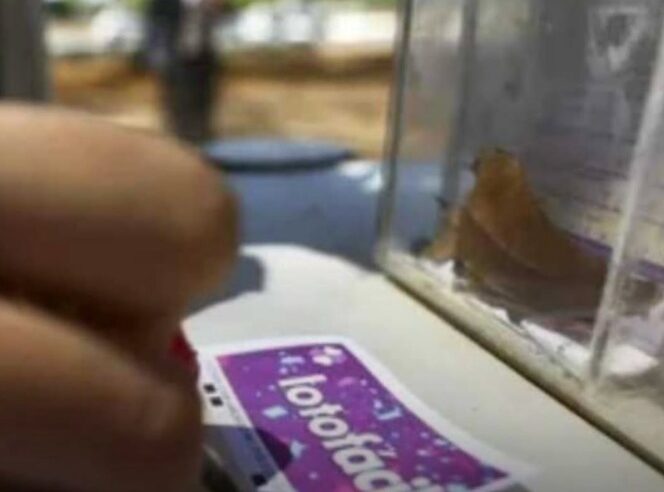 MILIONÁRIO! APOSTA FEITA EM SÃO BERNARDO LEVA SOZINHA MAIS DE R$ 8 MILHÕES NA LOTOFÁCIL
