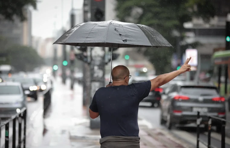 DEFESA CIVIL DE SP ALERTA PARA POSSIBILIDADE DE CHUVA COM RAIOS E RAJADAS DE VENTO NESTE DOMINGO (4)