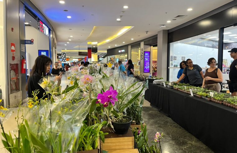 FESTIVAL DE PRIMAVERA ACONTECE NO SÃO BERNARDO PLAZA