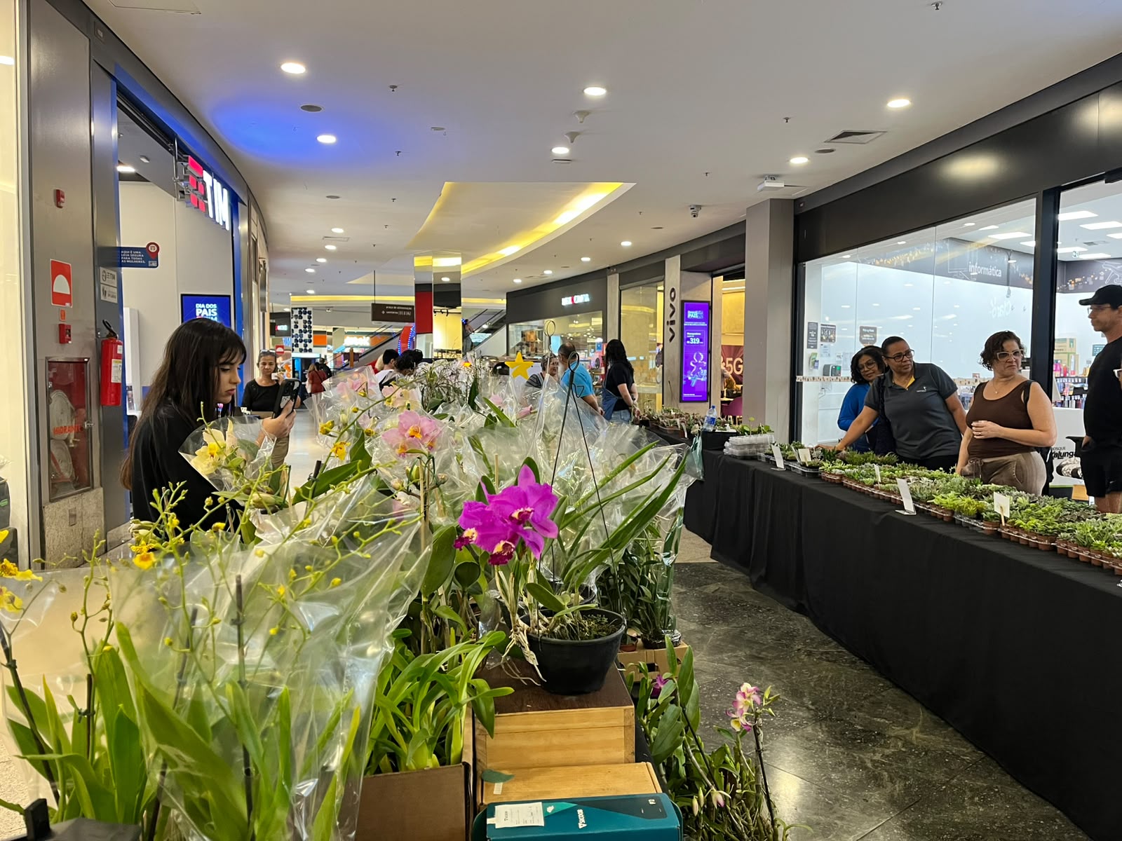 FESTIVAL DE PRIMAVERA ACONTECE NO SÃO BERNARDO PLAZA