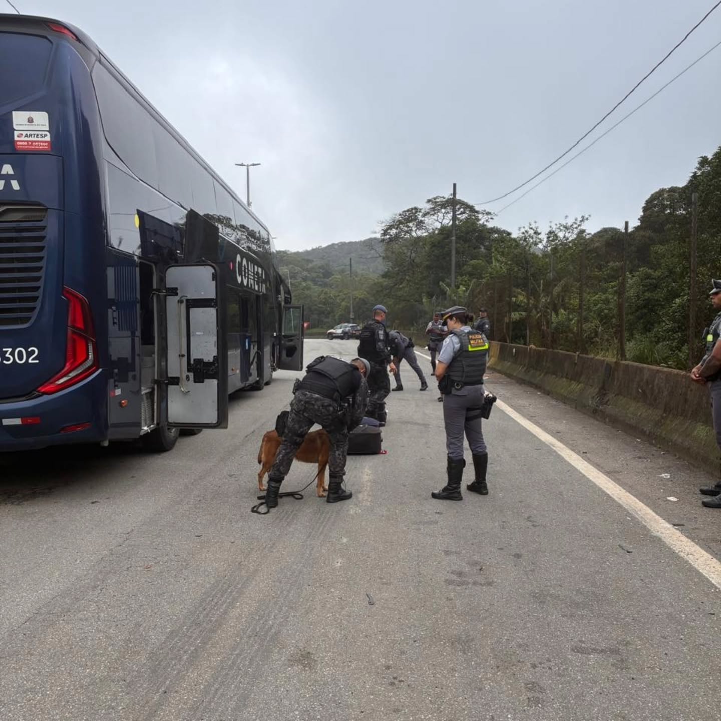 PM RODOVIÁRIA USA CÃES FAREJADORES PARA FISCALIZAR ÔNIBUS E VANS NA ANCHIETA