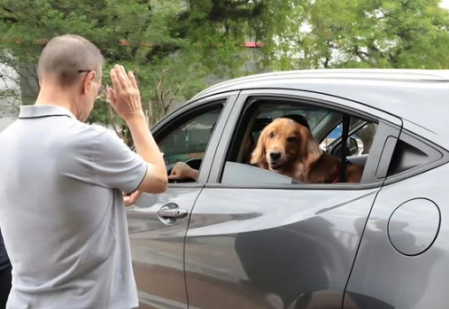 BÊNÇÃO AOS ANIMAIS SERÁ REALIZADA NESTE DOMINGO NA SANTÍSSIMA VIRGEM