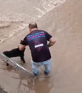 CÃO É RESGATADO APÓS CAIR EM CÓRREGO NA AVENIDA PERY RONCHETTI, EM SÃO BERNARDO
